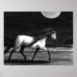 Moonlight Andalusion Poster