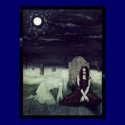 Moonlight Apparition Poster posters