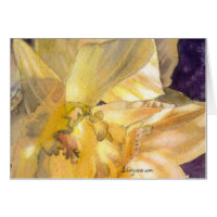 Moonlight Daffodils Greeting and Note Cards