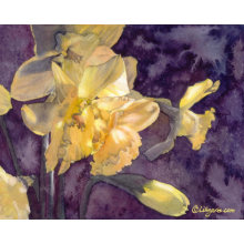 Moonlight Daffodils Watercolor Poster Print print