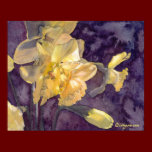 Moonlight Daffodils Watercolor Poster Print