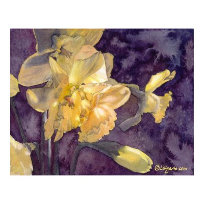 Moonlight Daffodils Watercolor Poster Print by lillyarts