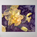 Moonlight Daffodils Watercolor Poster Print