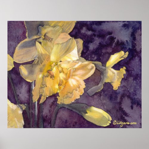Moonlight Daffodils Watercolor Poster Print