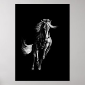 Moonlight Dance Poster