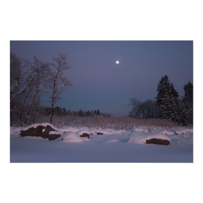 Moonlight in a midwinter seashore landscape CC0830 Photo Print