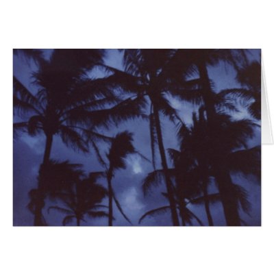 Moonlight Palm Trees Card by rukeman