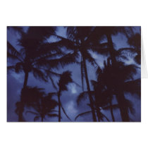 Moonlight Palm Trees Card by rukeman Moonlight Palm Trees Card