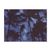 Moonlight PalmTrees Postcard by rukeman Moonlight PalmTrees Postcard