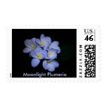 Moonlight Plumeria Postage