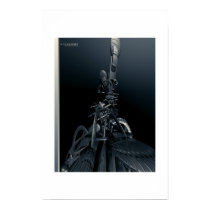 MOONLIGHT posters