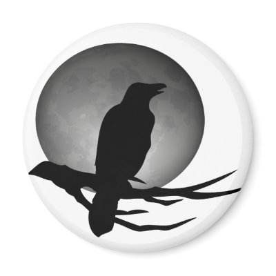 moonlight raven refrigerator magnet Zazzle_magnet moonlight raven refrigerator magnet Zazzle_magnet