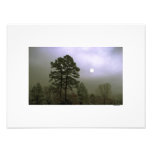 MOONLIGHT ROMANCE by CR SINCLAIR photography