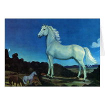 Moonlight Stallion cards