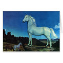 Moonlight Stallion cards by CowgirlCafeOnline Moonlight Stallion cards
