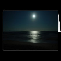 Moonlight Sun cards