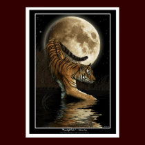 "MOONLIGHT TALES" Art Prints & Posters by RavenSpiritPrints "MOONLIGHT TALES" Art Prints & Posters