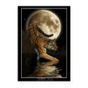 "MOONLIGHT TALES" Art Prints & Posters