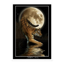 "MOONLIGHT TALES" Art Prints & Posters by RavenSpiritPrints "MOONLIGHT TALES" Art Prints & Posters
