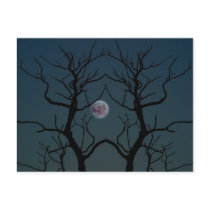 Moonlight Tree Silhouette postcards by FallSeason Moonlight Tree Silhouette postcards