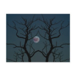 Moonlight Tree Silhouette Post Cards