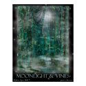 Moonlight & Vines posters
