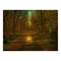 moonlight walk posters