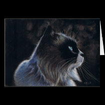 Moonlight Watch cards