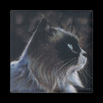 Moonlight Watch Magnet magnets