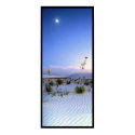 Moonlight Yucca Panorama posters