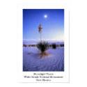Moonlight Yucca posters by gust_front Moonlight Yucca posters