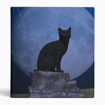 Moonlit Cat 3 Ring Binder