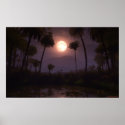 Moonlit Oasis (2012) zazzle_print