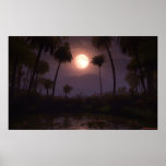 Moonlit Oasis (2012) posters