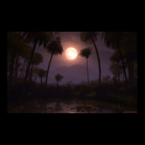 Moonlit Oasis (2012) posters