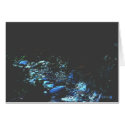 Moonlit Riverbed cards