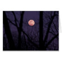 Moonlit Winter Note Card by phipix Moonlit Winter Note Card