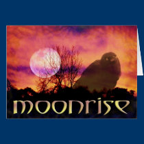 moonrise cards by Jade379 moonrise cards