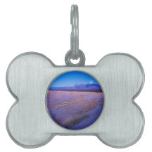 Moonrise in the Mojave Pet Tag