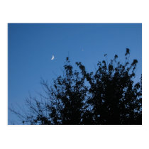 Moonrise Post Card postcards