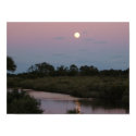 Moonrising posters