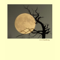 Moonshine, tree & moon collage t-shirts