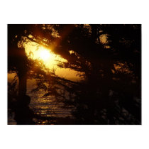 Moonstone Beach posters