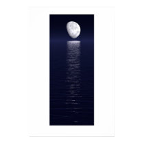 Moontrail posters
