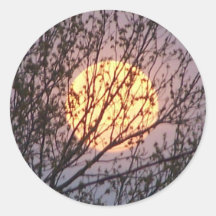 moontree etiquetas  