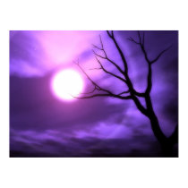 Moonview posters