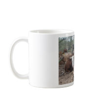mooo... mugs