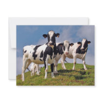 Moooh! Custom Invitations