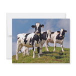 Moooh! Custom Invitations