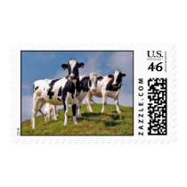 Moooh! Postage